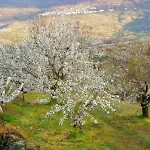 Hétvégi ház El Pajar De Tia Maria *