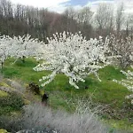 El Pajar De Tia Maria Hétvégi ház