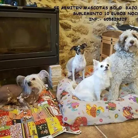 컨트리하우스 El Pajar De Tia Maria *