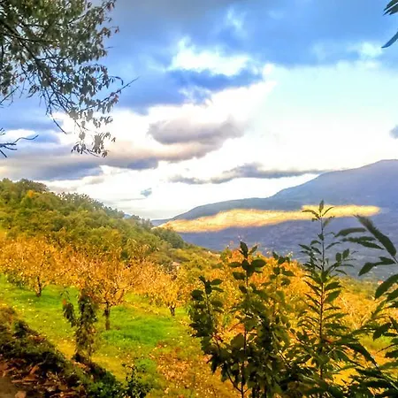 El Pajar De Tia Maria *