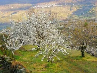 Séjour à la campagne El Pajar De Tia Maria *