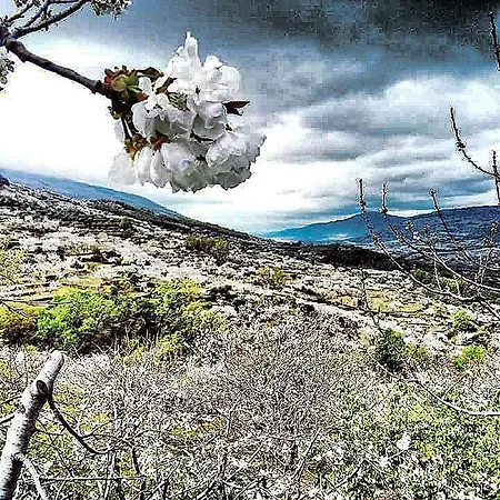 El Pajar De Tia Maria