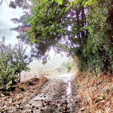 El Pajar De Tia Maria * Casas del Castañar