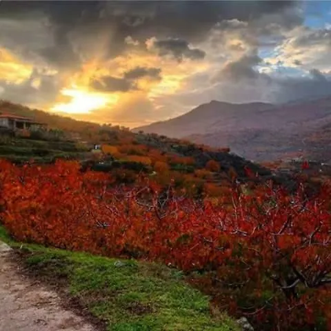 El Pajar De Tia Maria *