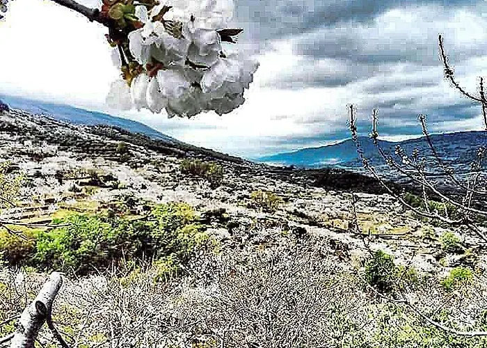 El Pajar De Tia Maria