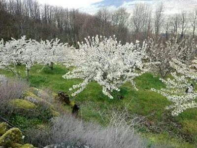 El Pajar De Tia Maria Lantställe